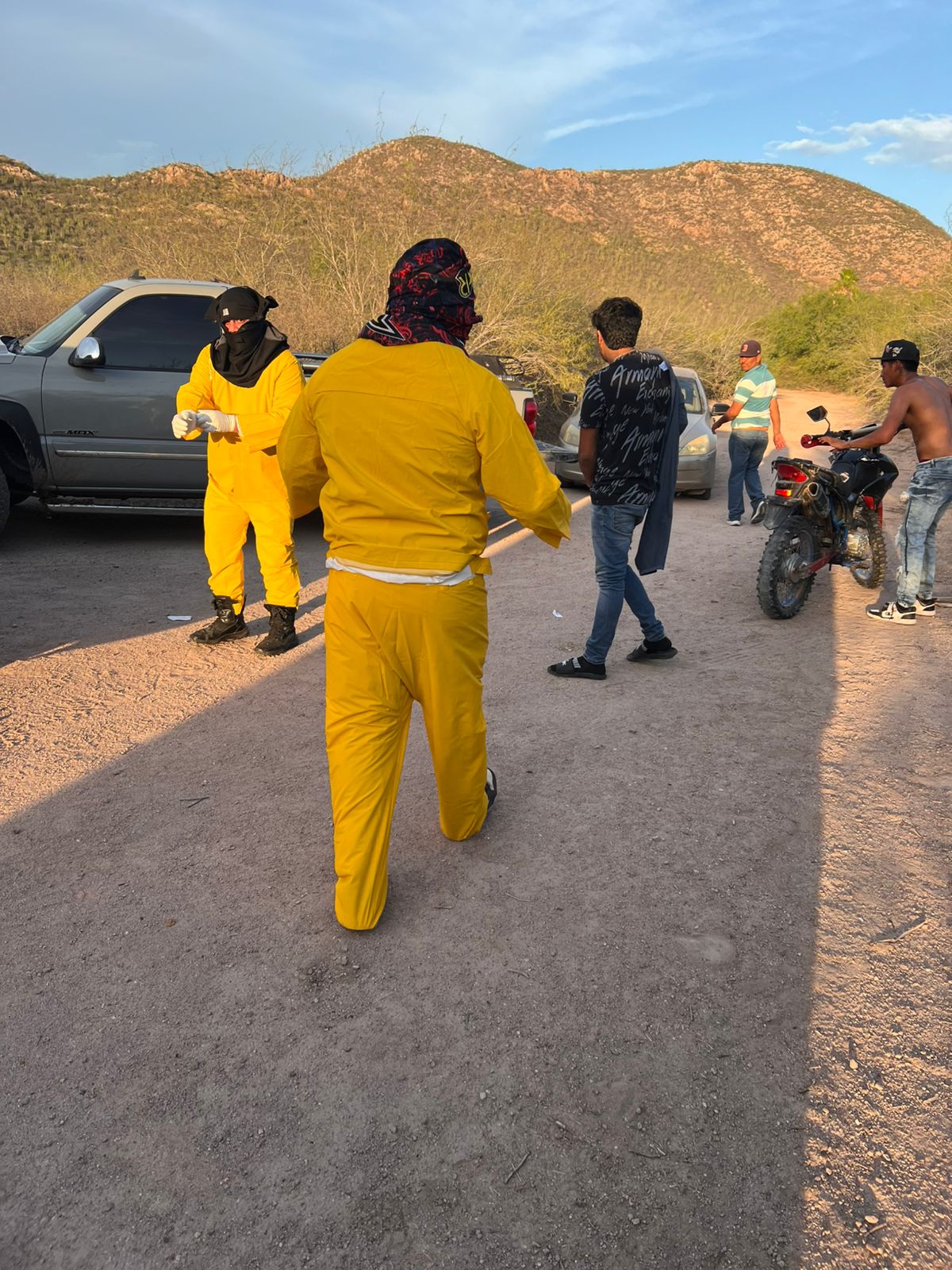 ataque de abejas en ahome