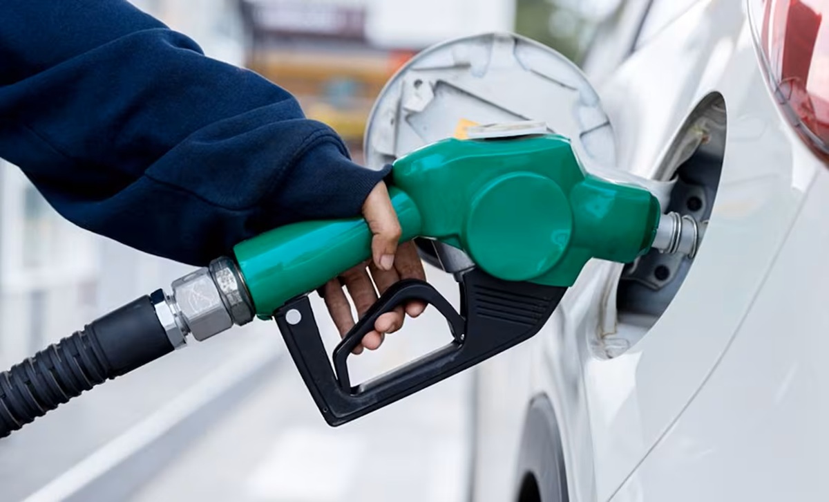 Bomba de gasolina verde o regular