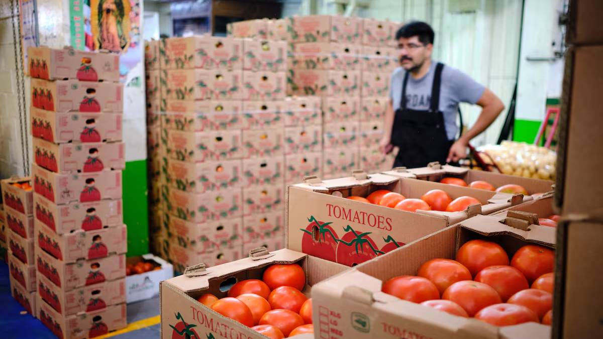 Caja de tomates