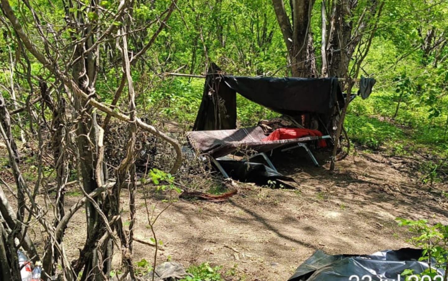 campamento clandestino del crimen organizado en San Ignacio