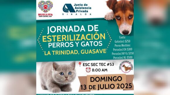 Invitan este domingo a jornada de esterilización de perros y gatos en La Trinidad, Guasave