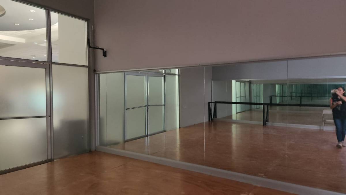 centro cultural guasave