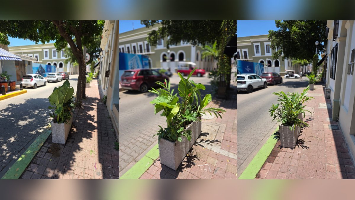 colocan 100 jardineras en el Centro Histórico de Mazatlán