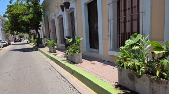 ‘Mazatlán florece’ colocan 100 jardineras en el Centro Histórico para embellecerlo