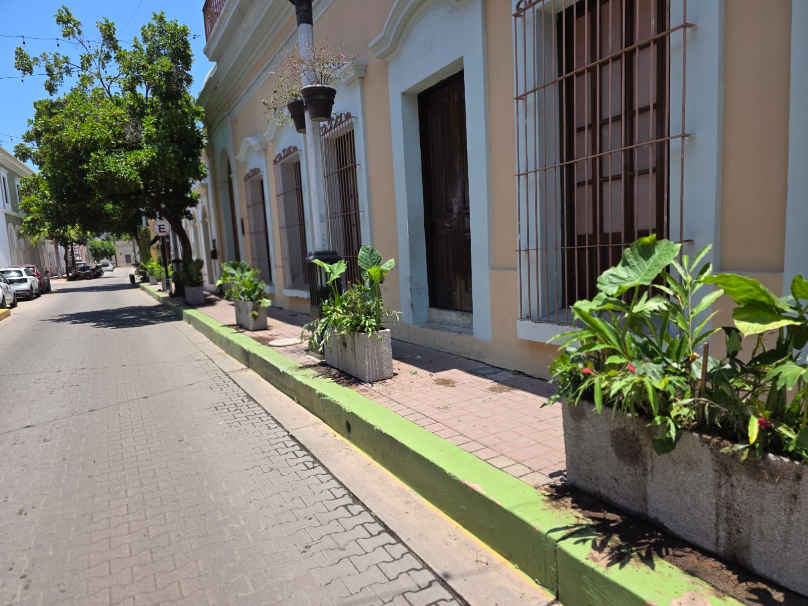 colocan 100 jardineras en el Centro Histórico de Mazatlán