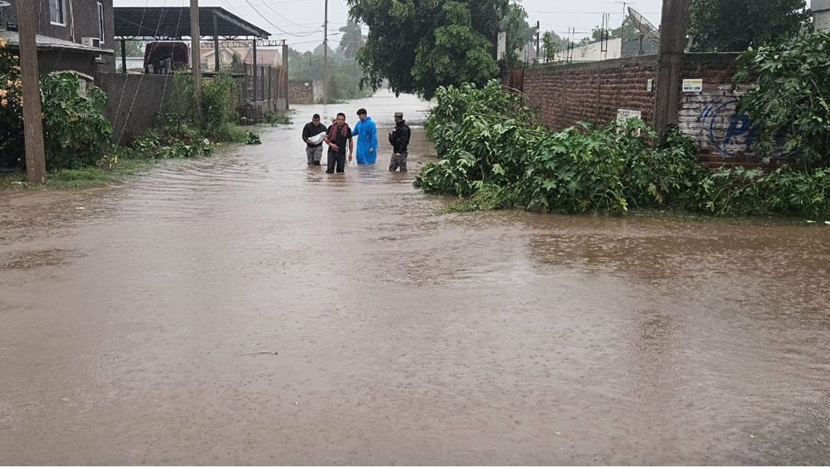 colonia stase guasave lluvias