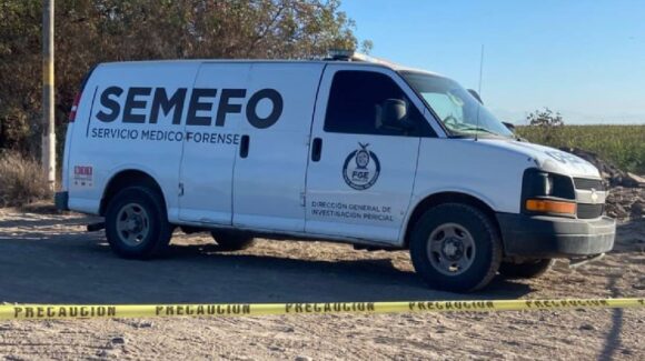 Tenía ficha de búsqueda: identifican como Jesús Carlos al joven hallado asesinado en Navolato