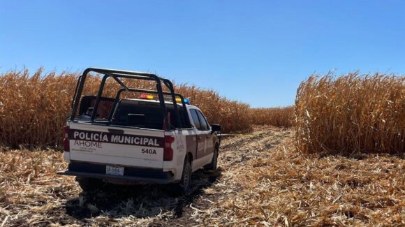 Cuerpo localizado sin vida en predio agrícola en Ahome podría tratarse de Ricardo Valentín  “La Vale”