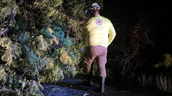¡Vaya noche! Sectores sin luz y árboles caídos deja tormenta en Guasave y Sinaloa municipio