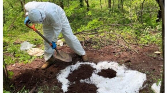 Militares destruyeron cuatro áreas de concentración para la elaboración de drogas en Culiacán y Cosalá