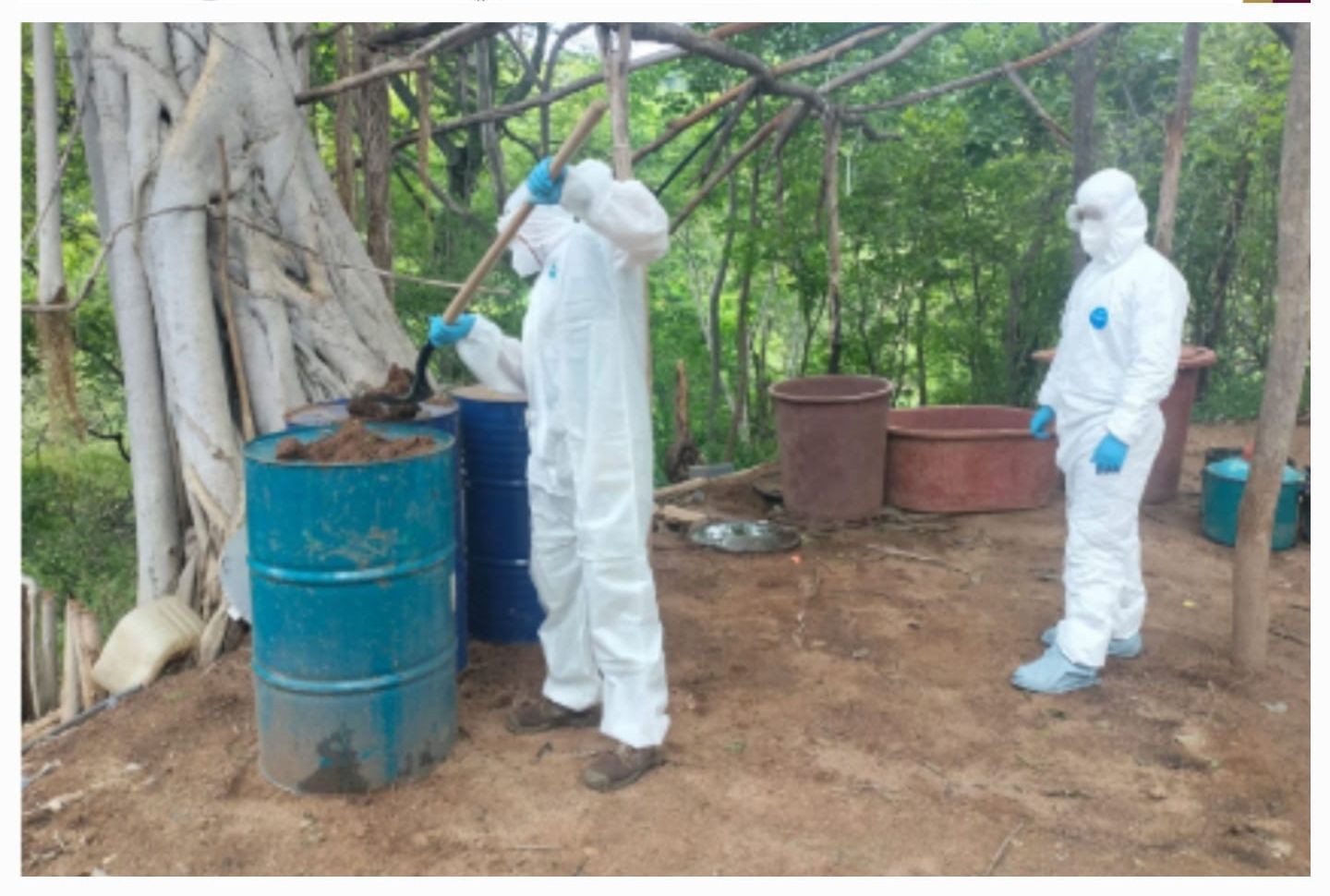 Destruyen áreas de concentración para hacer drogas en Culiacán y Cosalá