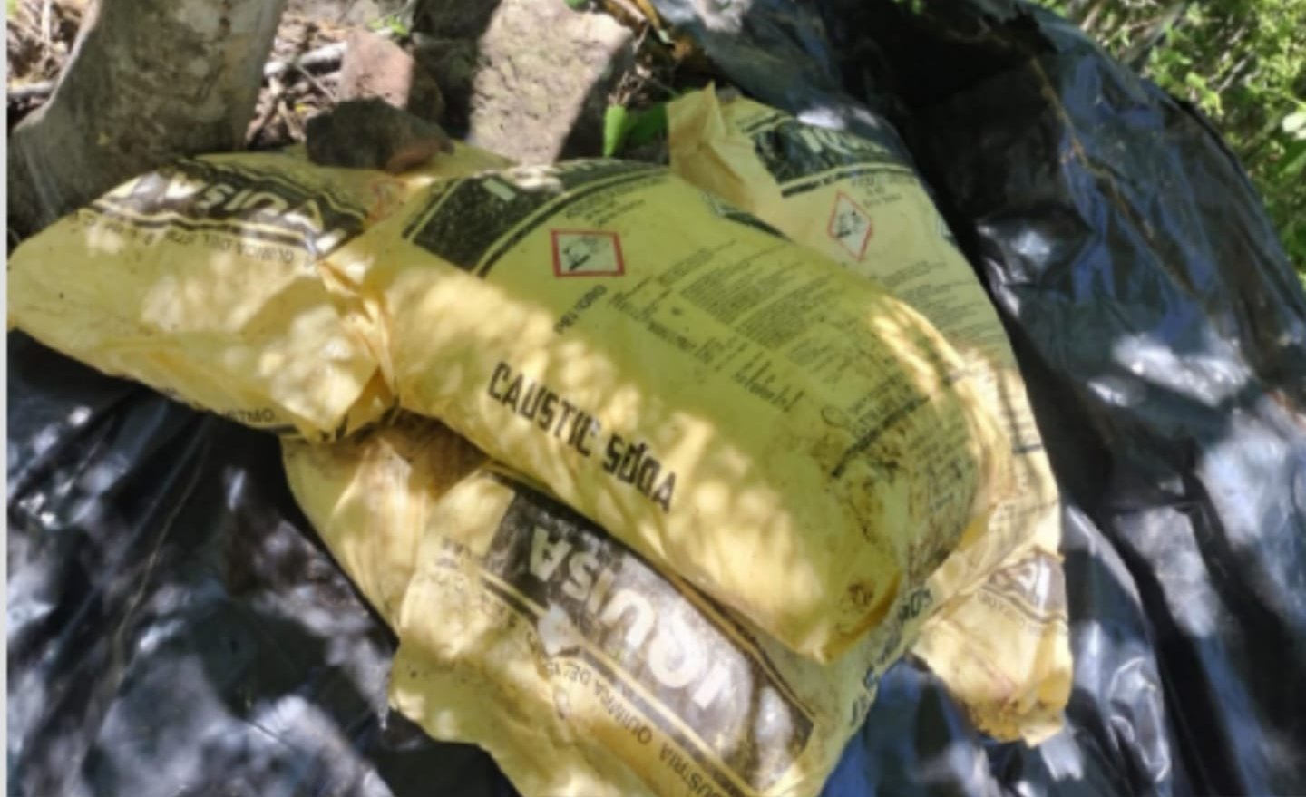 destruyen plantio de mariguana en culiacan costal