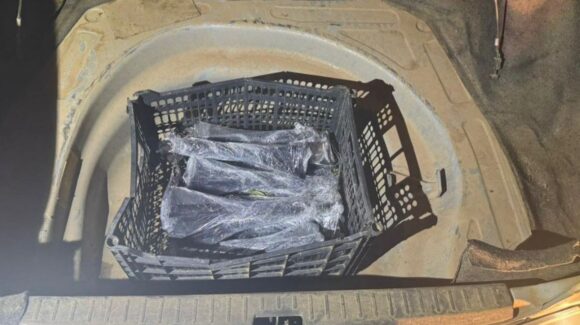 Confirma SSPE un detenido con 12 explosivos en Culiacán; trató de evadir un retén