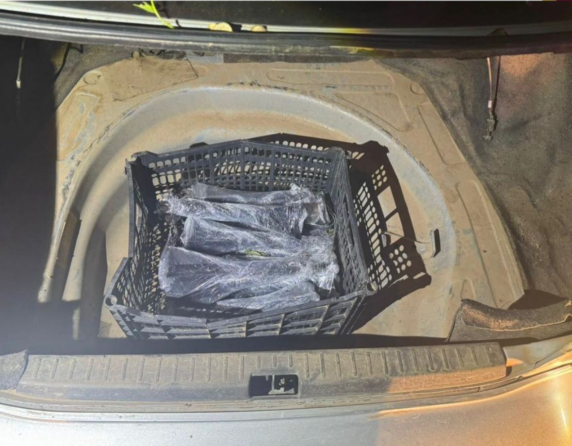 detienen y le aseguran doce explosivos en culiacan sin