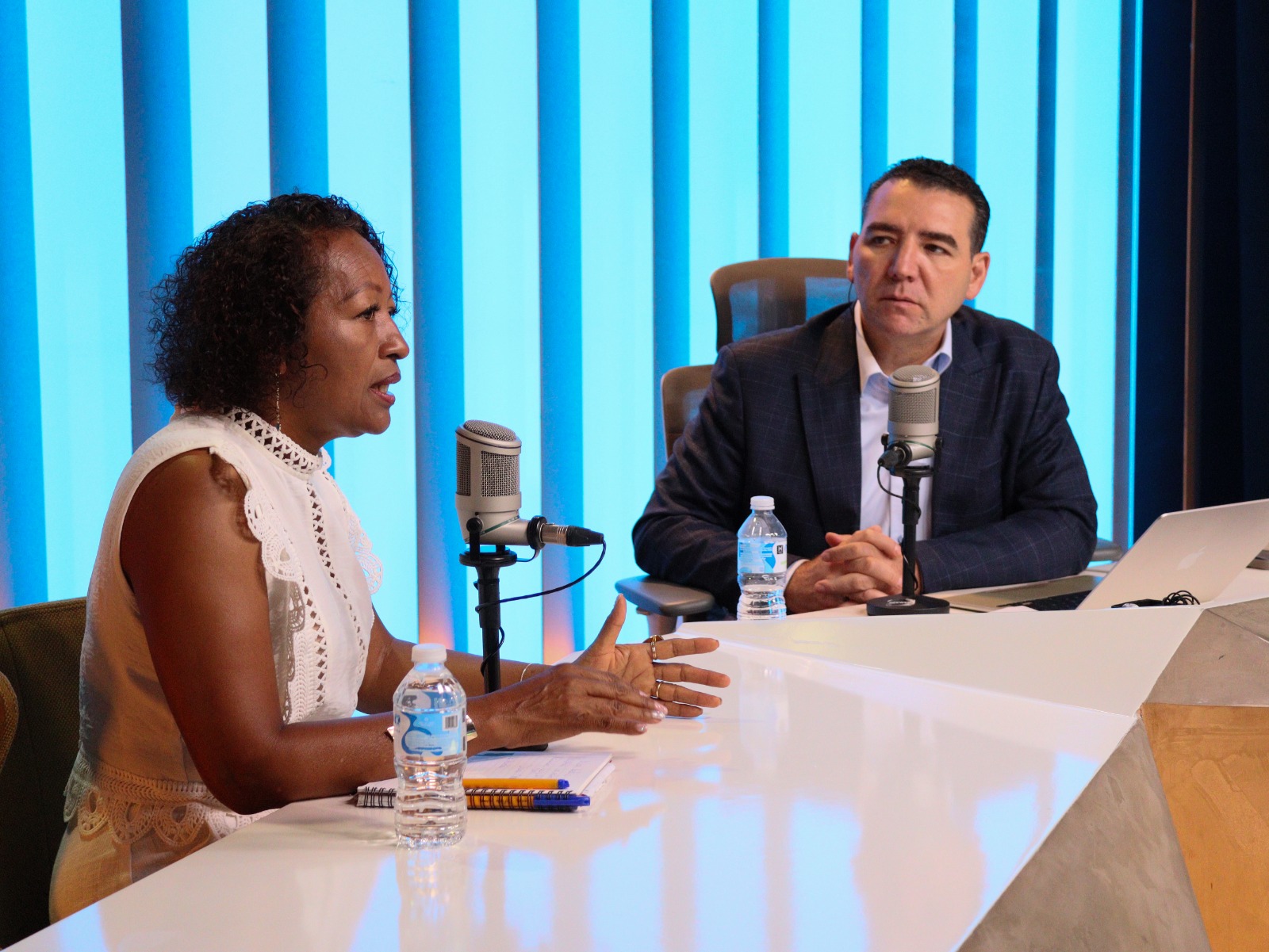 diputada federal por morena rosa maria castro salinas