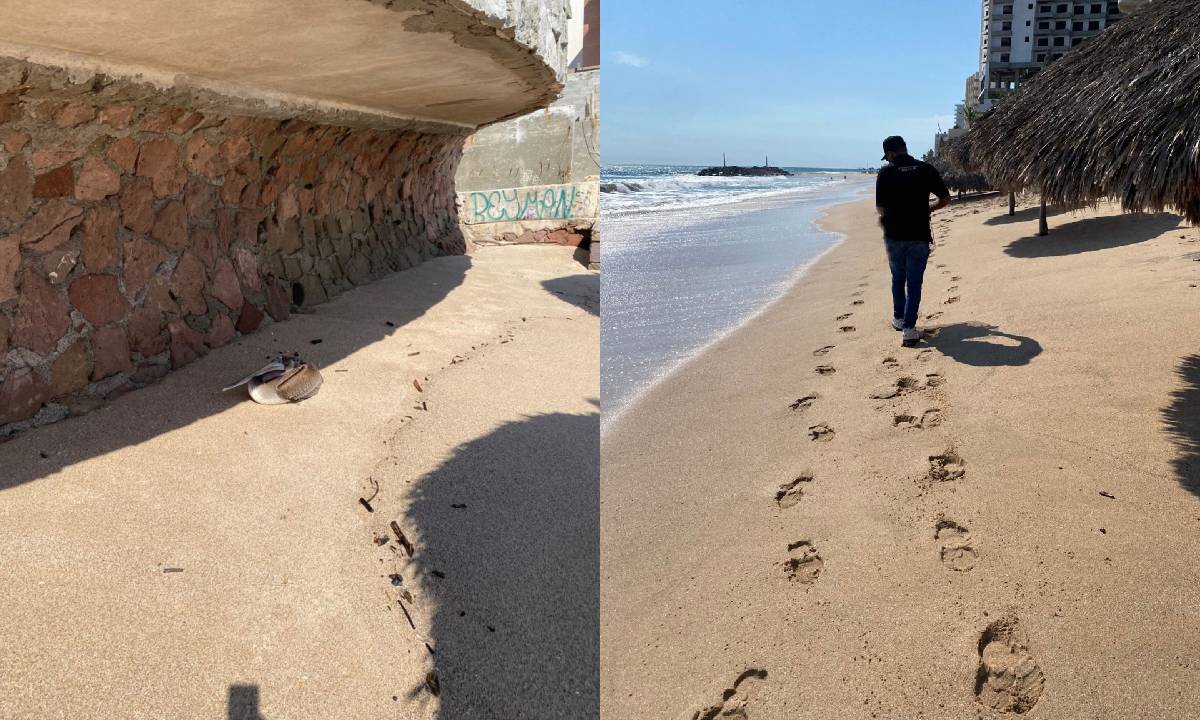 Bajo cuidado del Gran Acuario Mazatlán, ‘Don Peli’ se recupera tras ser rescatado herido en playa