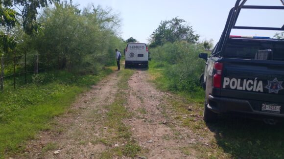 Don Roque muere al ser atacado por un cocodrilo en Eldorado