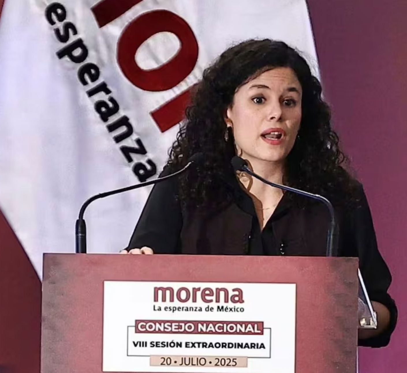 Ecos del Consejo Nacional de Morena, por Milton Rojo