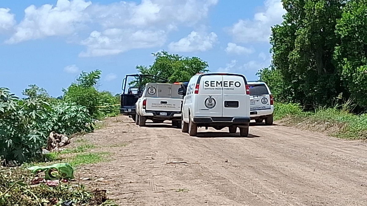 Cubierto del rostro con su propia camisa localizan ejecutado a un hombre en Navolato