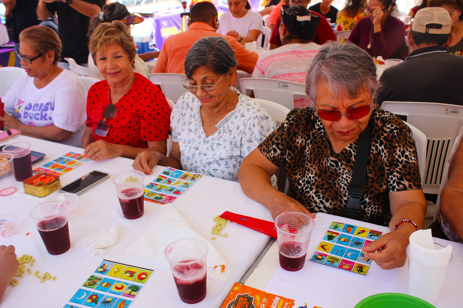 el show del mariconcho en mazatlan asistente