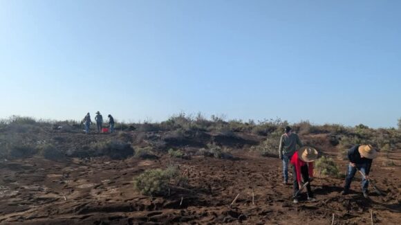 En 2027 continuarán expediciones arqueológicas que revelan conexión de Guasave a Arizona