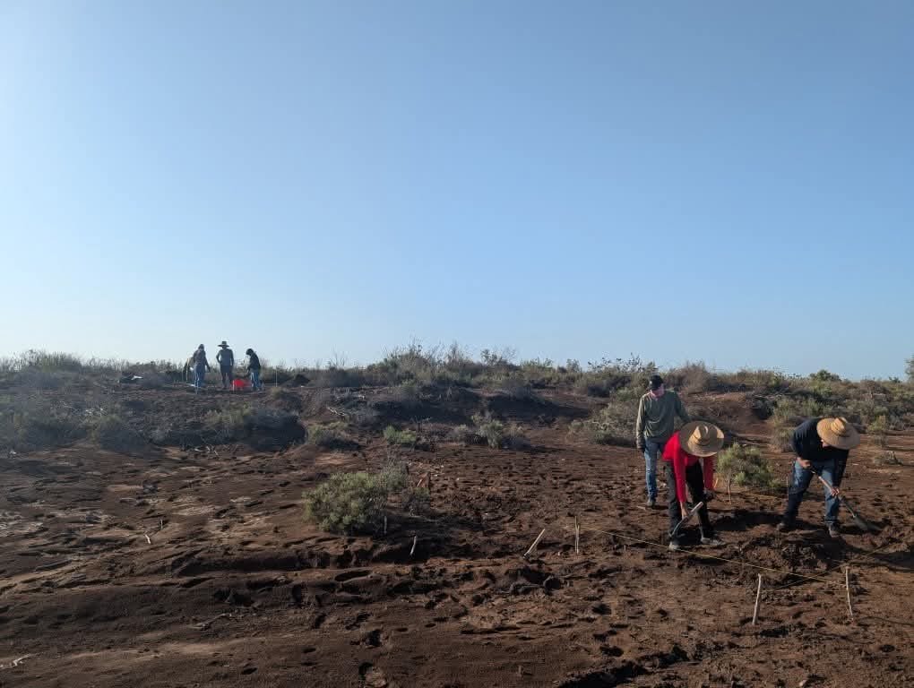excavacion en guasave sin