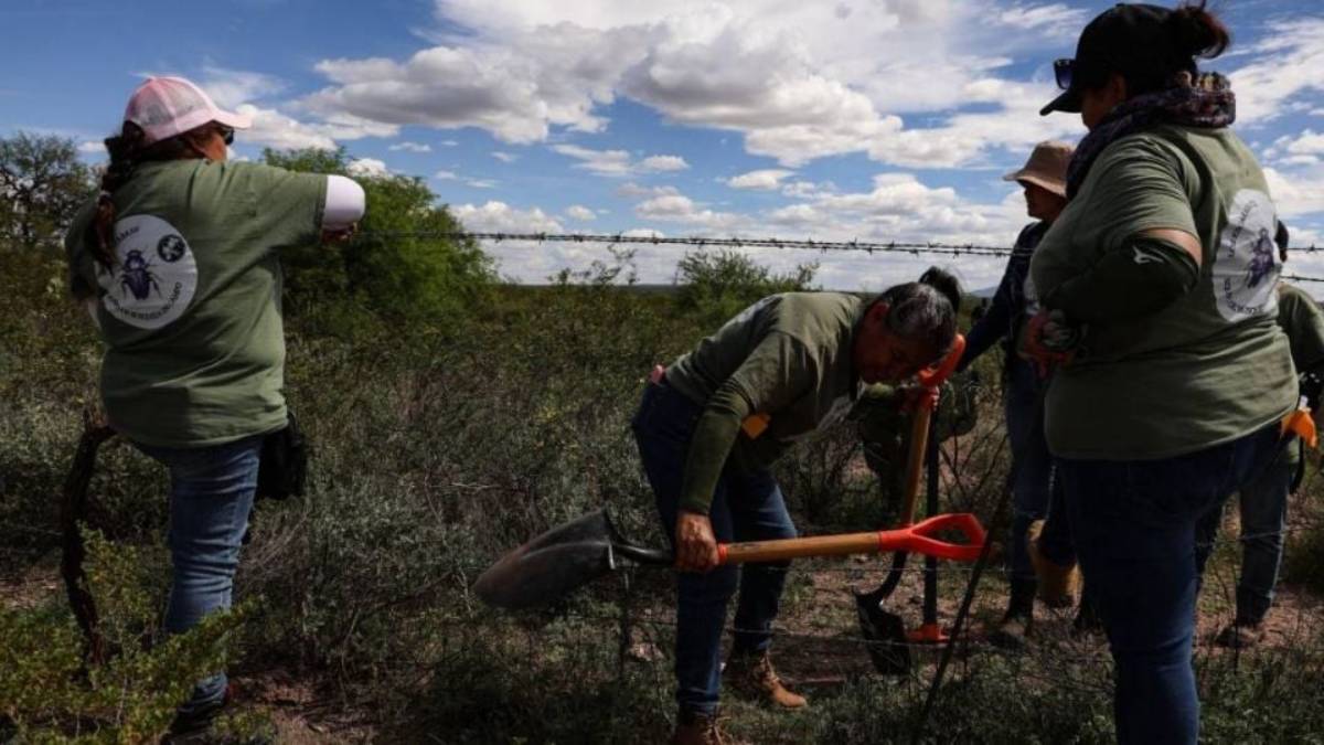 grupo de buscadores Los Escarabajos