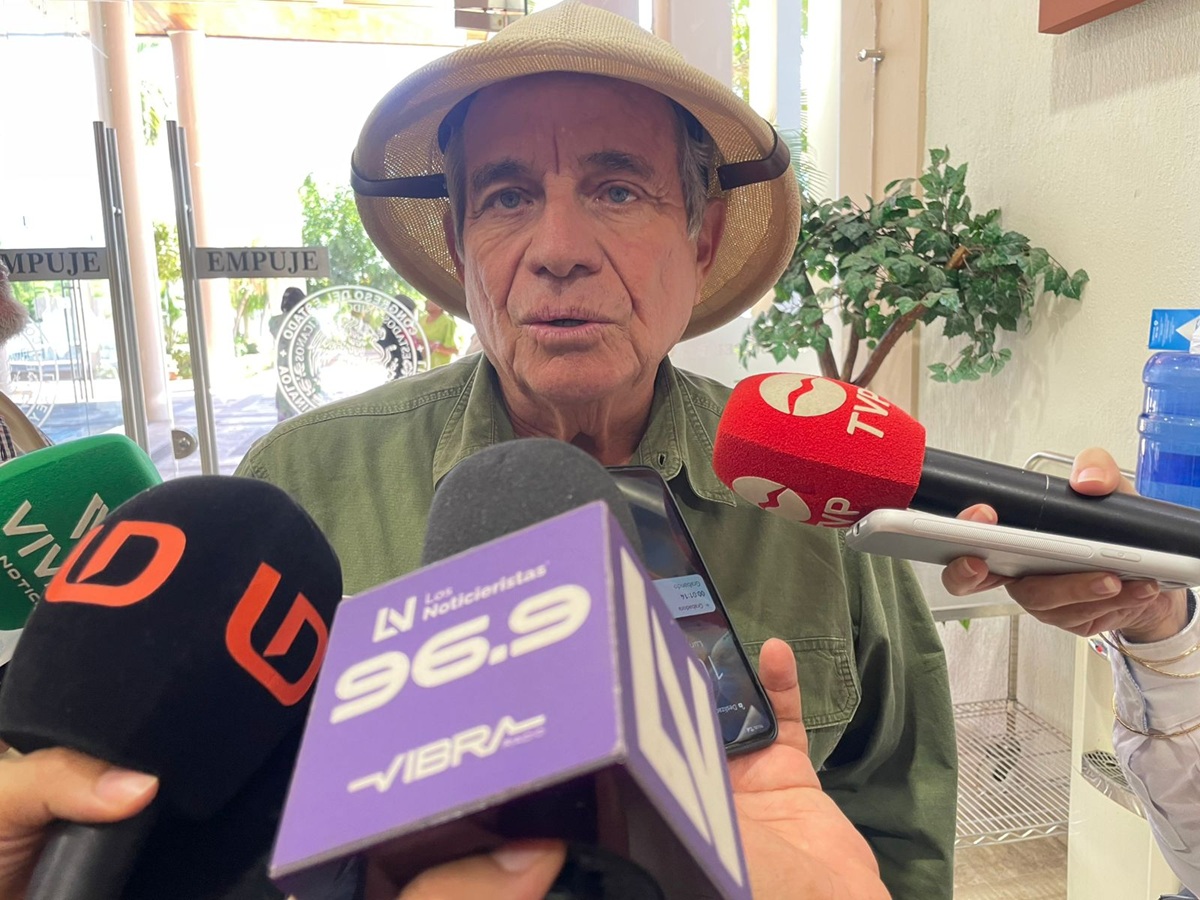 Guadalupe Palma León, diputado de Morena
