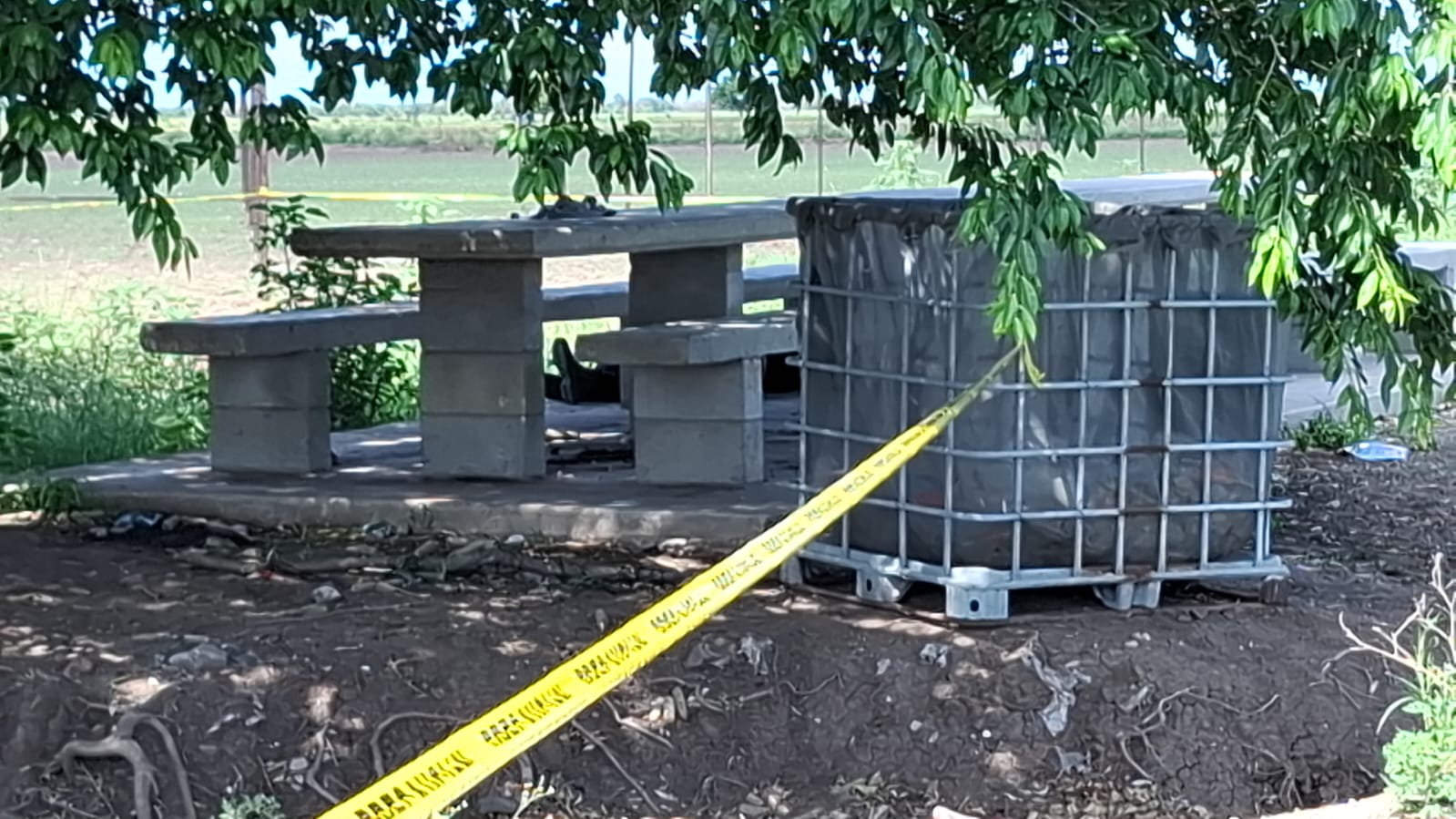 Se mantiene la ola de asesinatos en Sinaloa