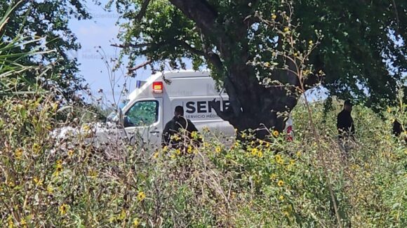 Sabuesos Guerreras hallan osamenta humana en Culiacán