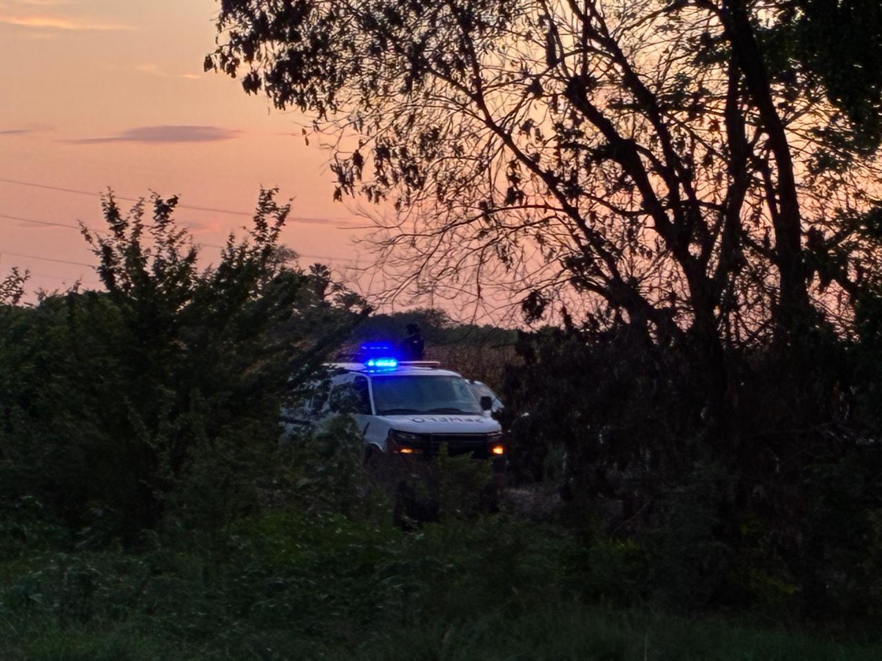 Asesinado en unas tierras de cultivo localizan a hombre en San Pedro, Navolato