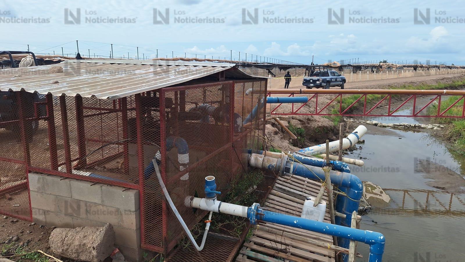 Con las manos atadas hacia atrás encuentran ejecutado a un hombre en Navolato