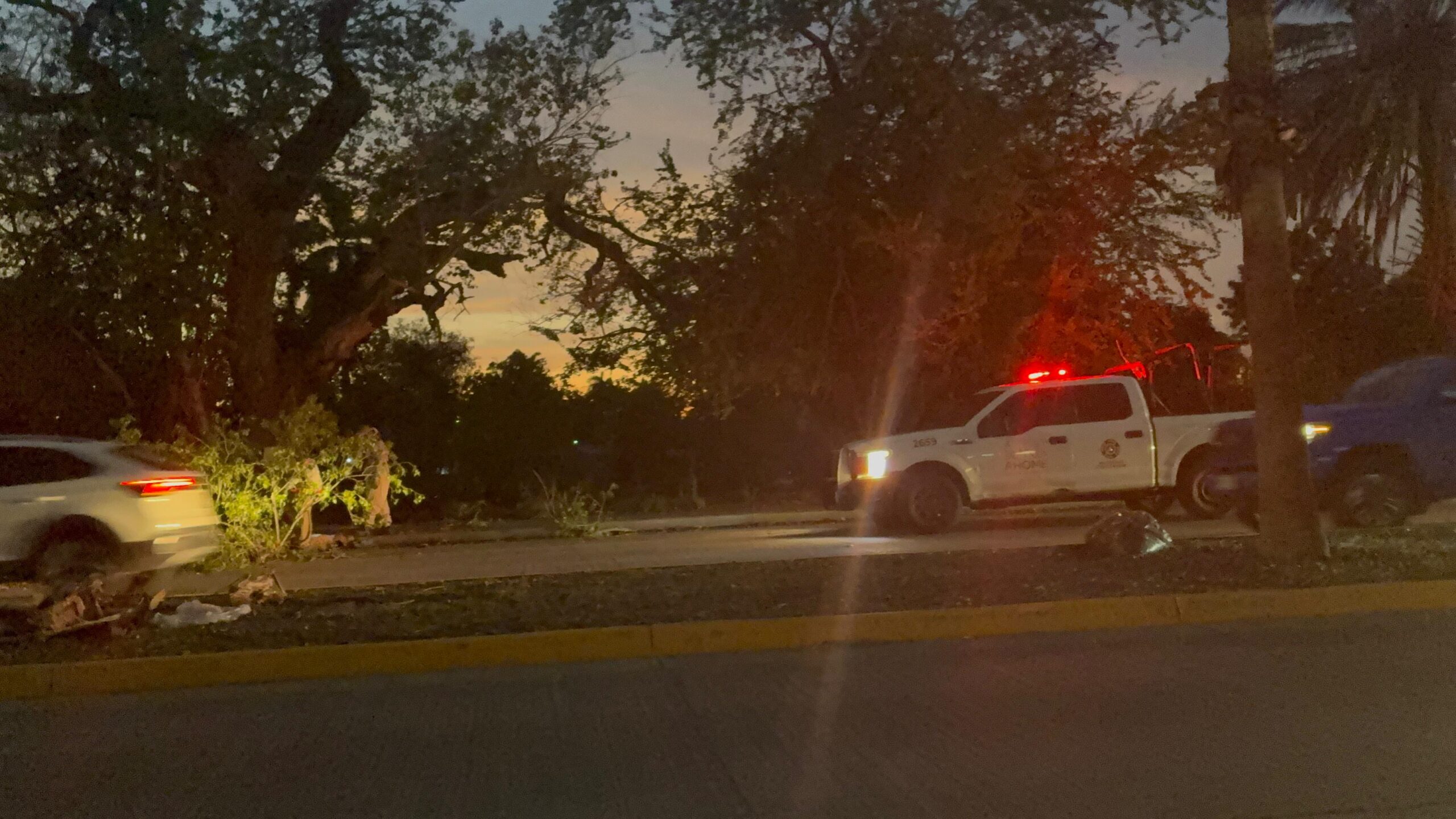 Hombre es atacado por abejas en Los Mochis