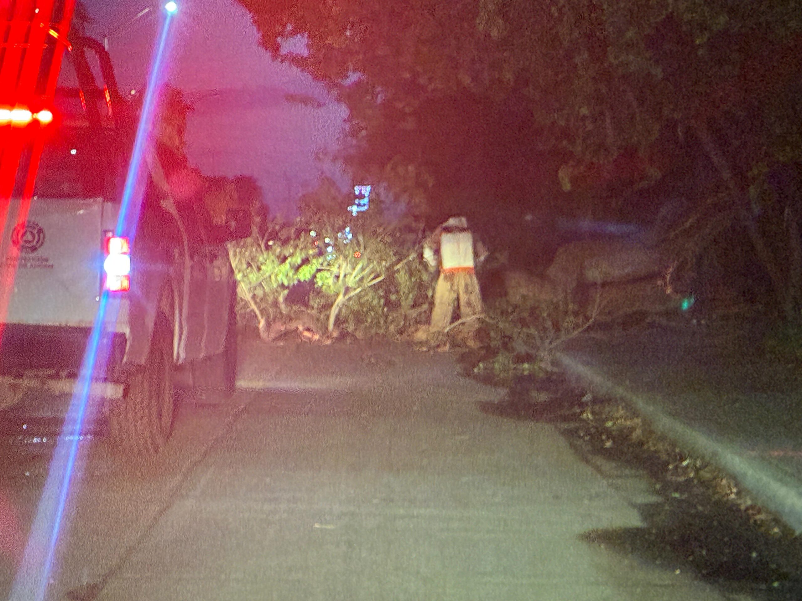 Hombre es atacado por abejas en Los Mochis