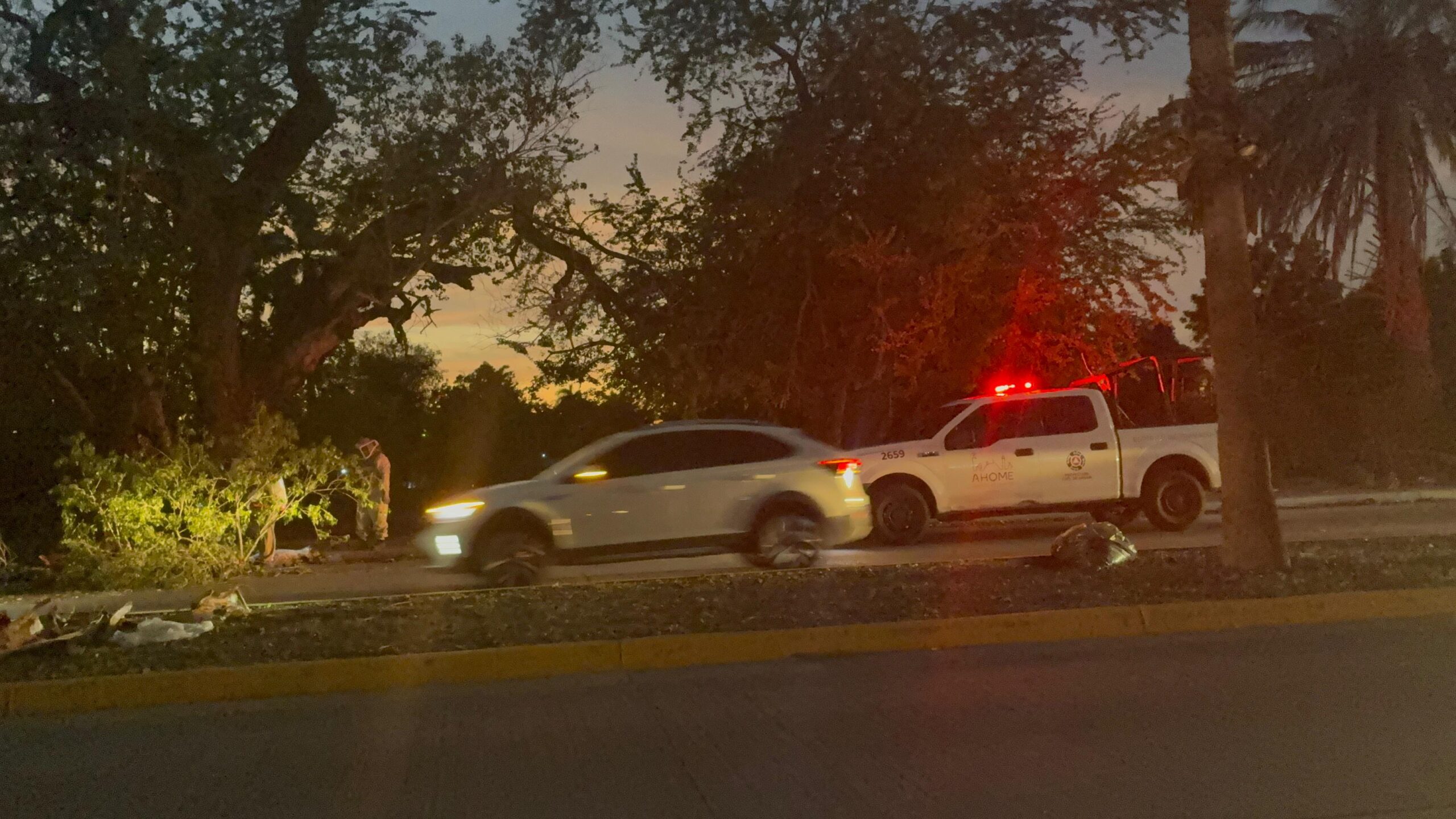 Hombre es atacado por abejas en Los Mochis