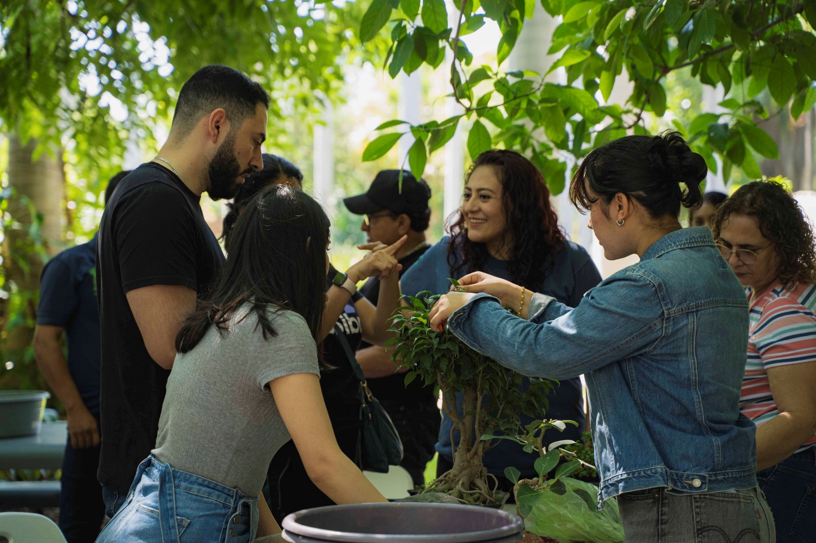 Invitan al Club Bonsái del Jardín Botánico Culiacán