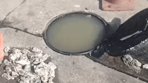 ¡El WC no es basurero! Japac alerta por taponamientos en el drenaje de Culiacán