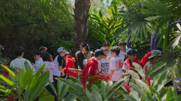 Aprovecha para divertirte aprendiendo en “Verano en el Jardín”