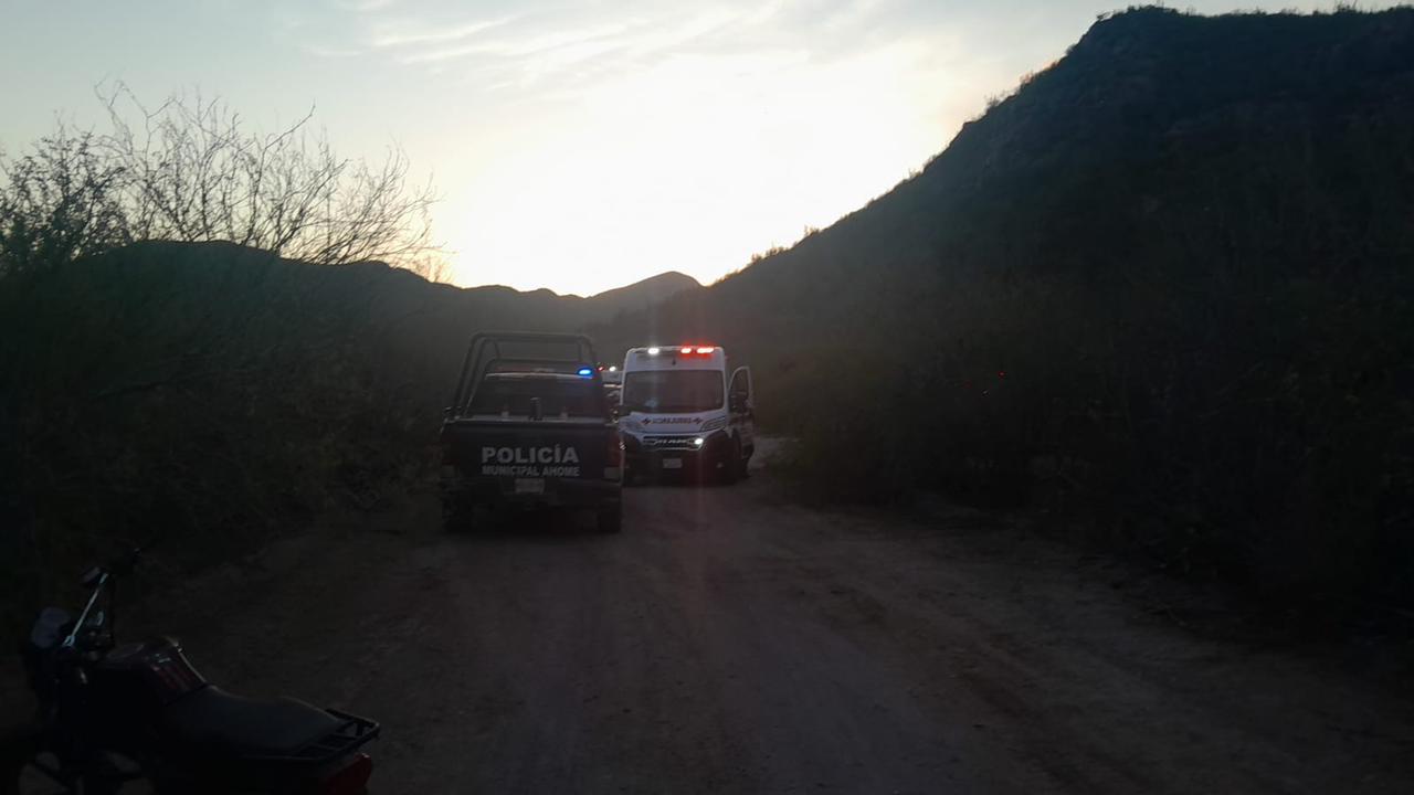 Abejas atacan a jóvenes en cerro de Ahome