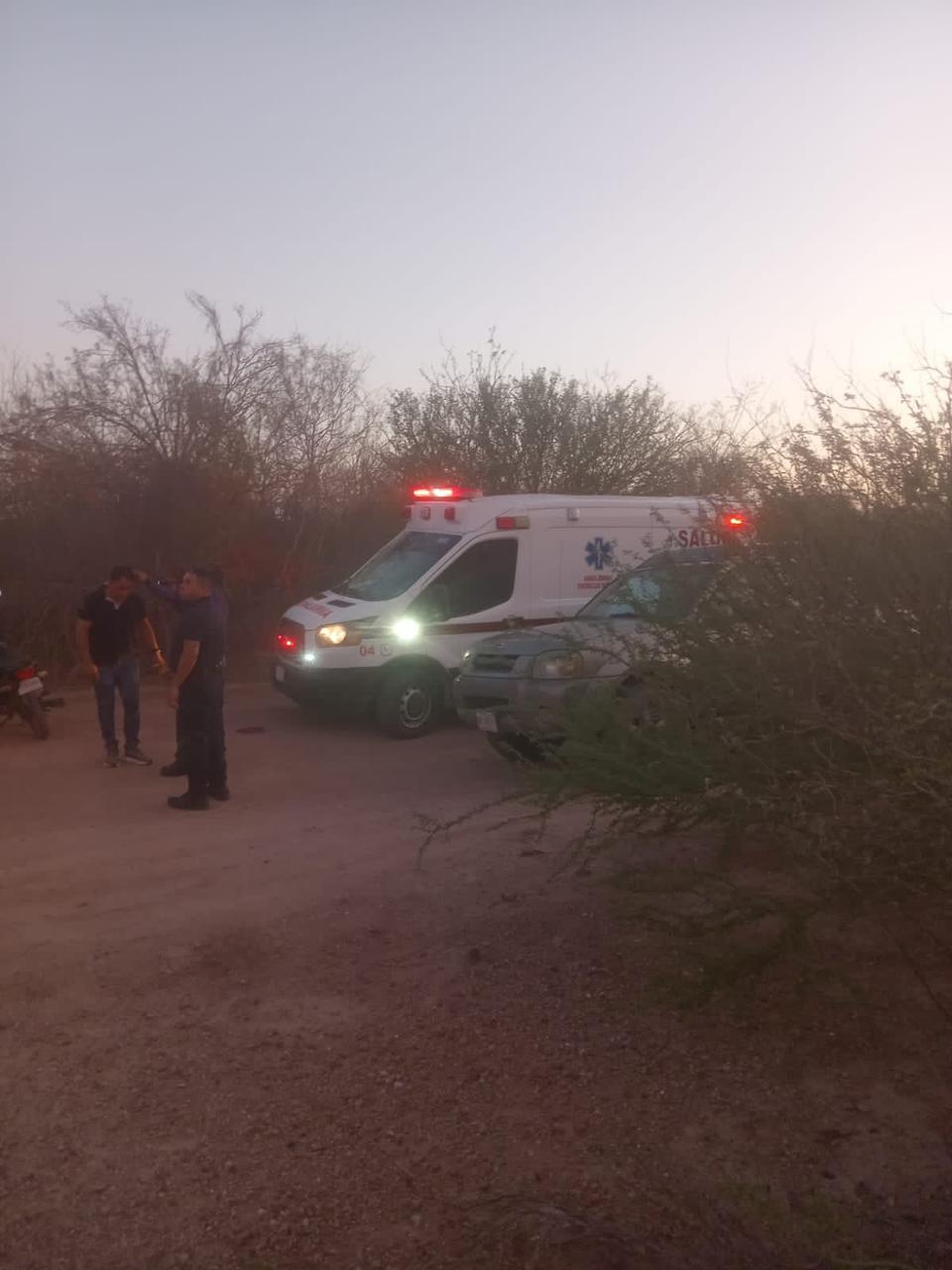 Abejas atacan a jóvenes en cerro de Ahome