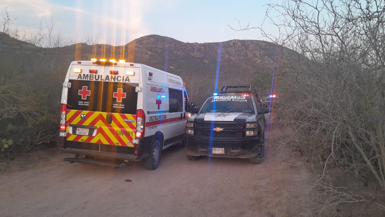 Abejas atacan a jóvenes en cerro de Ahome