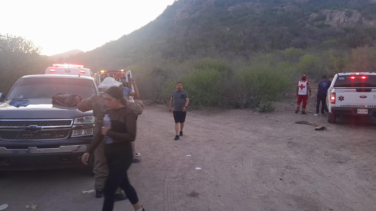 Abejas atacan a jóvenes en cerro de Ahome