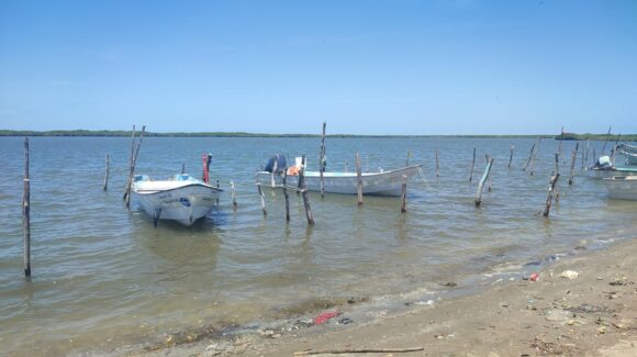 ¿Dónde está el nuevo titular de Conapesca? Pescadores de Sinaloa buscan conocer su plan de trabajo