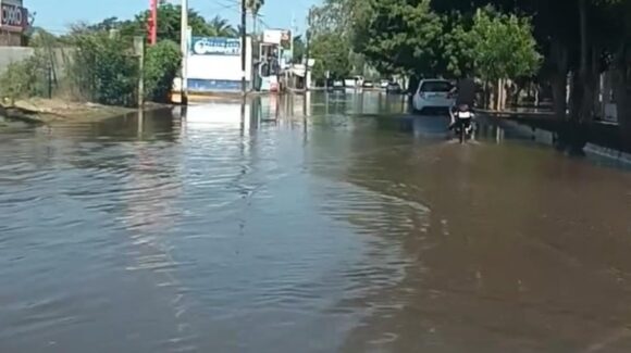 Así llovió en Guasave; pluviómetros de la AARSP contabilizan hasta 56 milímetros