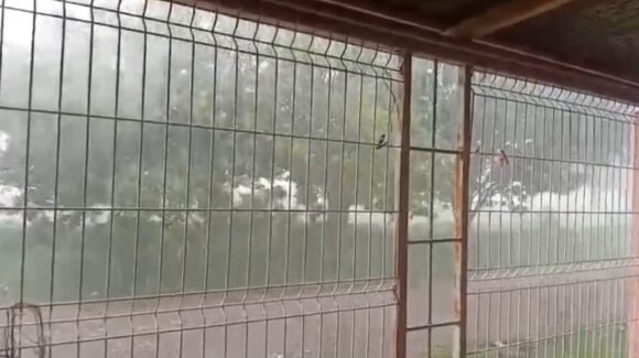 Cae tremenda lluvia combinada con granizo y fuertes rachas de viento en El Carrizo y El Fuerte