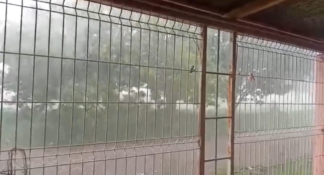 Cae intensa lluvia en El Carrizo y El Fuerte