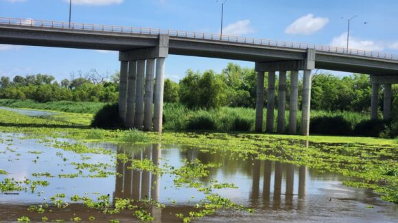 Estación Bamoa con 42 milímetros, la región donde más llovió en Guasave