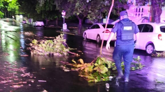 Lluvias en Culiacán dejan 21 árboles caídos, un espectacular derribado y 7 colonias sin luz: P.C. Sinaloa
