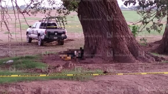 Identifican al hombre que fue localizado asesinado y recargado en un árbol en El Vergel, Navolato