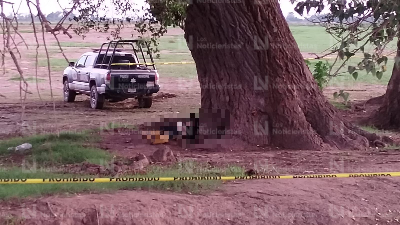 Hallan a un hombre asesinado en un árbol en El Vergel, Navolato